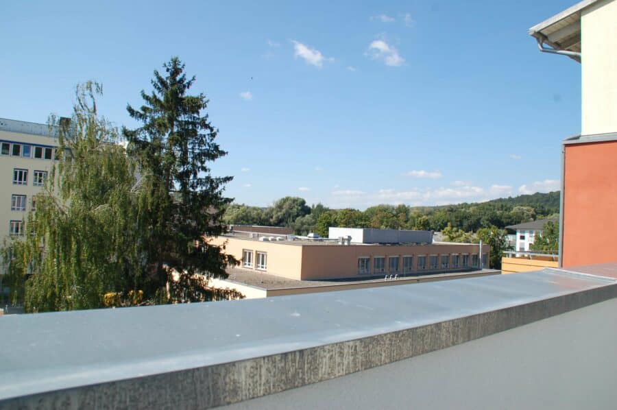 Einen Lebenstraum wahr machen: barrierefreies Penthouse in Bad Abbach - Ausblick auf das Donautal