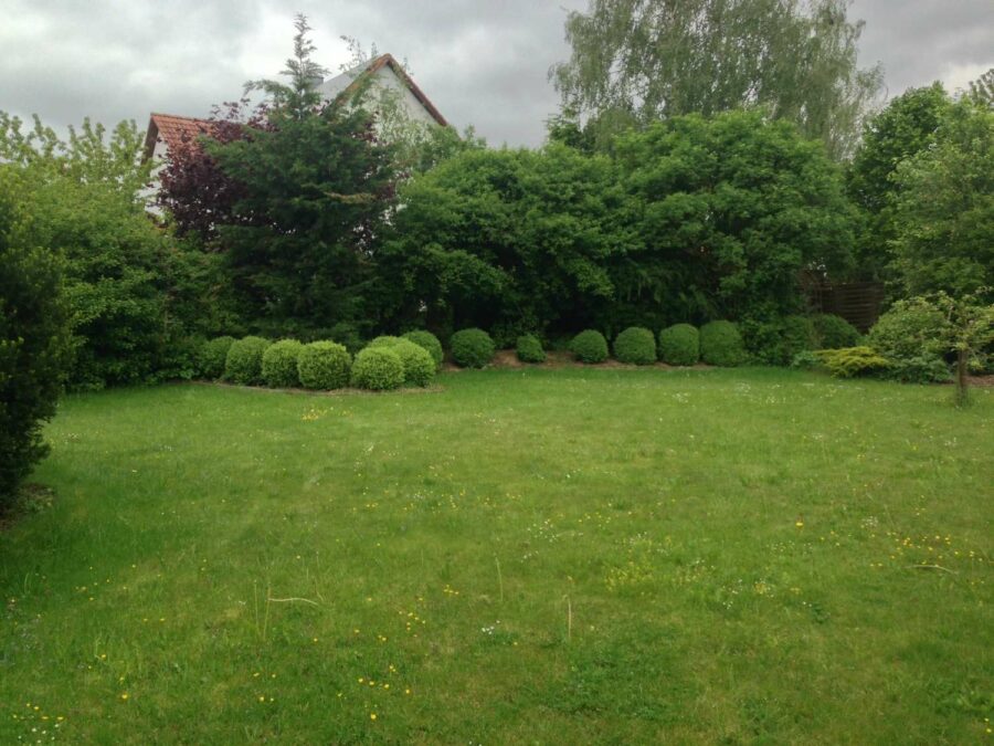 Gepflegter Bungalow in ruhiger Ortsrandlage mit viel Ruhe und kurzen Wegen in die Natur - Garten