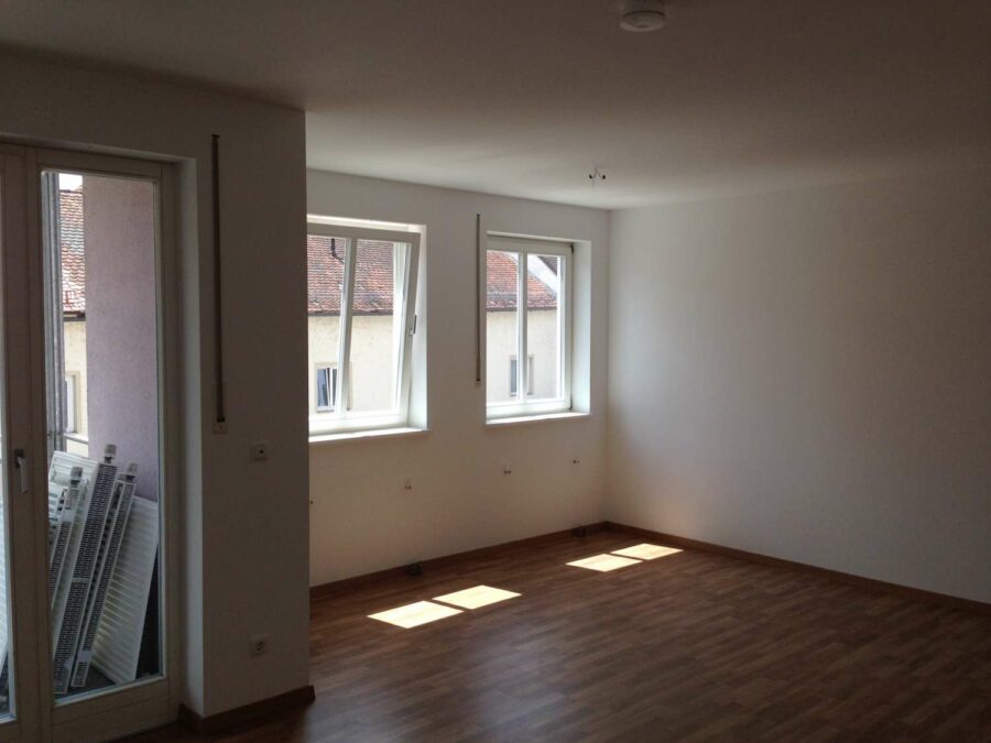 Neue Wohlfühlwohnung in der Kelheimer Innenstadt - IMG 3324