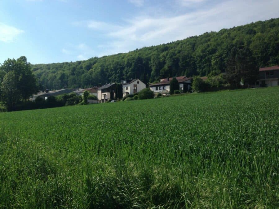 Freistehendes Einfamilienhaus in der Kreisstadt Kelheim - Wald und Feld