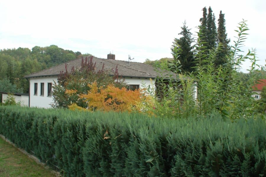 Viel Platz im Haus und im Garten: Bungalow mit großem Garten in Dorfrandlage in Wildenberg - Südwest