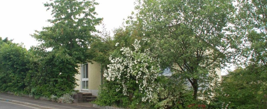 Freistehendes Einfamilienwohnhaus in Villenlage in der Wohnstadt Abensberg - DSC_0492