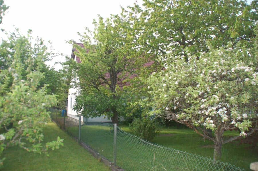 Freistehendes kleines Wohnhaus in einer sehr reizvollen Ortsrandlage bei Kelheim - Garten