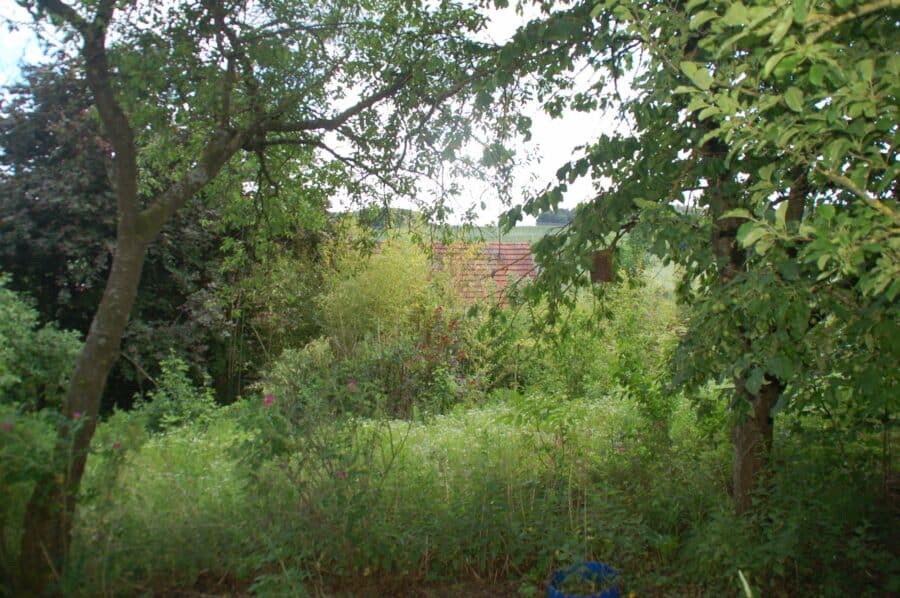 Holledauer Traumgrundstück in Südlage mit Weitblick auf dem Dorf, mit altem Wohnhaus - Garten