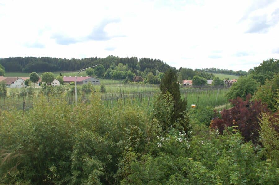 Holledauer Traumgrundstück in Südlage mit Weitblick auf dem Dorf, mit altem Wohnhaus - Ausblick