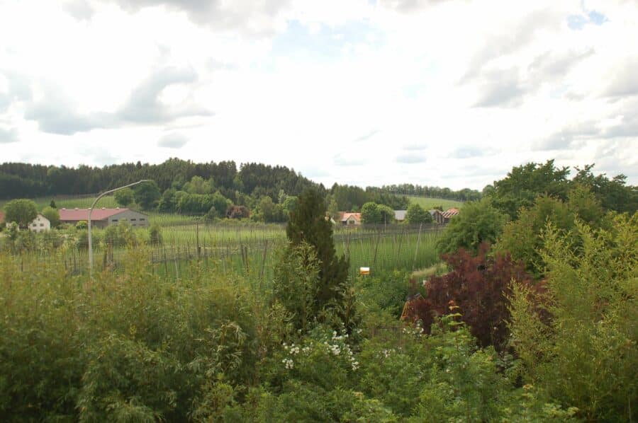 Holledauer Traumgrundstück in Südlage mit Weitblick auf dem Dorf, mit altem Wohnhaus - Ausblick