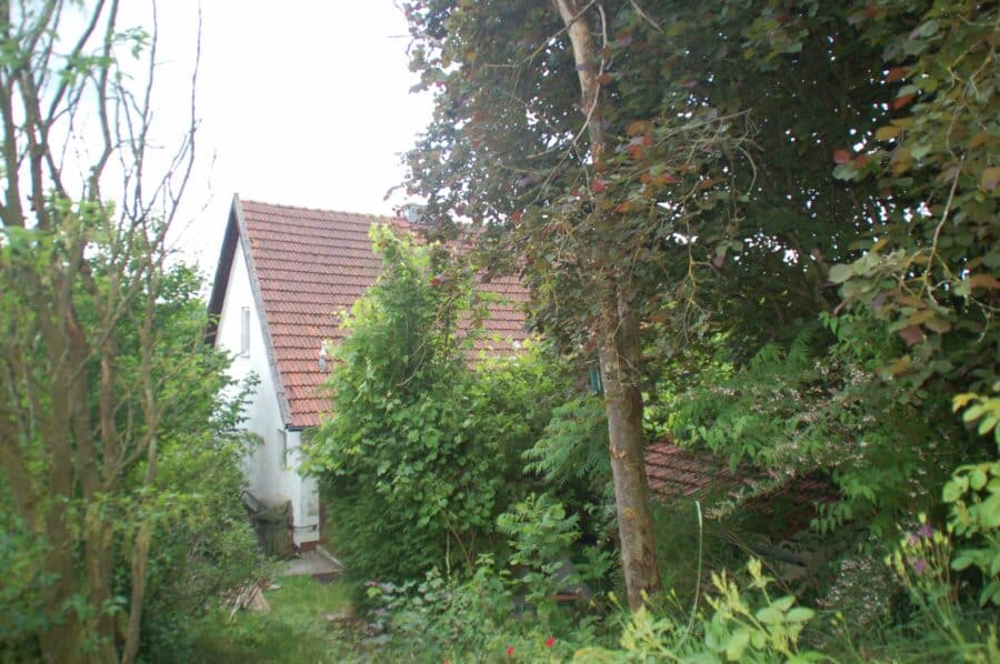 Holledauer Traumgrundstück in Südlage mit Weitblick auf dem Dorf, mit altem Wohnhaus - Hausansicht